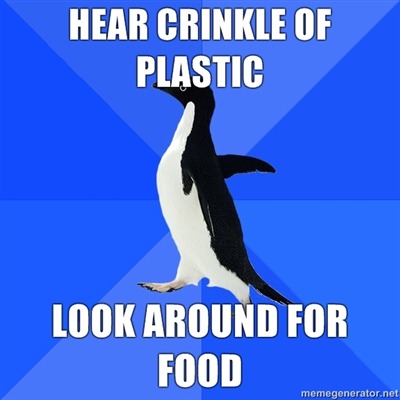 Pavlov&rsquo;s Penguin