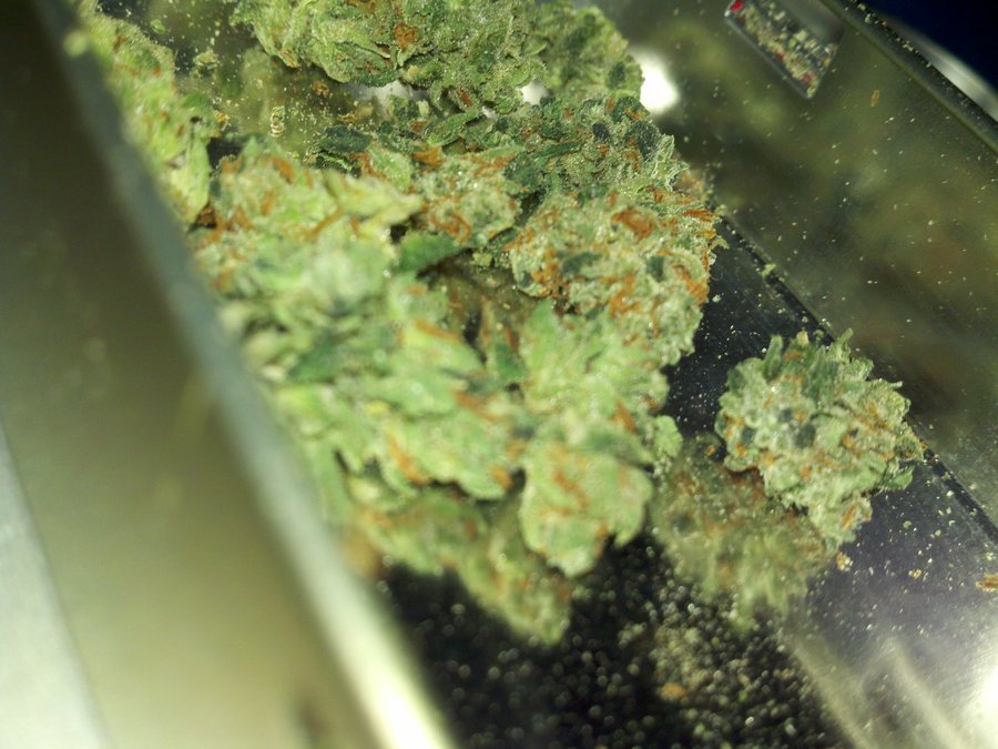 thatsgoodweed:  green crystally goodness 