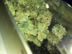 Thatsgoodweed:  Green Crystally Goodness 