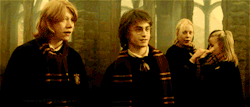 mareluna3000:   Ron:”Blimey, Harry. You’ve