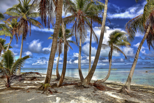 Rangiroa, French Polynesia, South Pacific© vgm8383