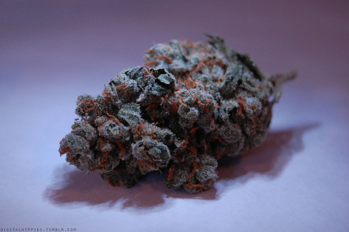 Things Stoners Like