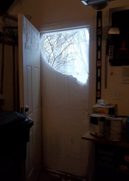 brittany-bumblebee:  Meanwhile in North New Jersey….  ONLY THE STRONG SURVIVE.