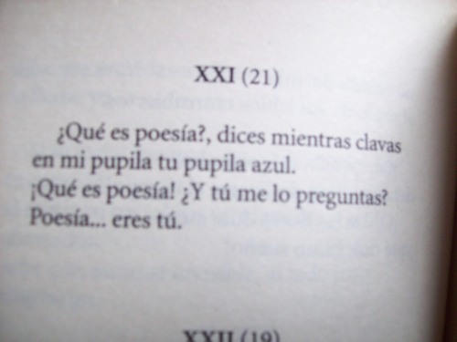 “POESÍA ERES TÚ.”
Gustavo Adolfo Bécquer.