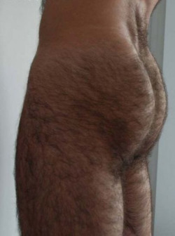 Hairy Dads Love Hairy Butts