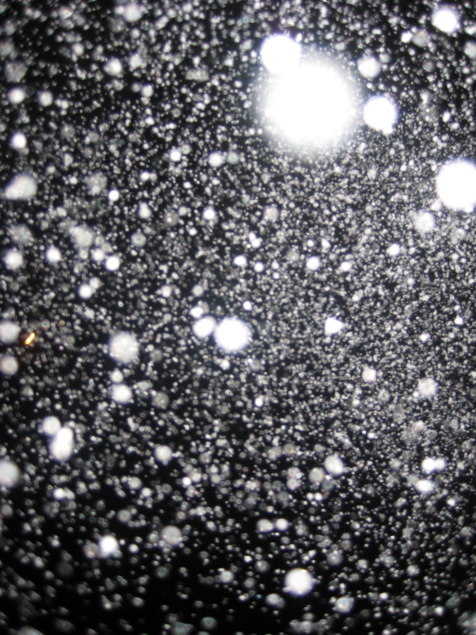 february-song:  nightwish-moondance:  Snow Day in Texas! My very first time ever!!!
