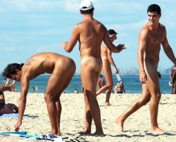 ohmygoshmen:  drhughmannity:  How playful a day at the beach can be, for everyone!  Looks like he is about attack that ass, but he saw another hunk that interested him even more. 