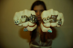 owls!!! :D