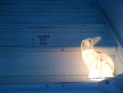 sarahkunst:   STAIRWELL IN TERENCE KOH’S LES STUDIO  