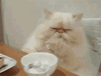 When you’re home alone at night