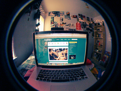 whocanfindme-blog:  Um conselho: Faça o que você quiser com o seu Tumblr, o que
