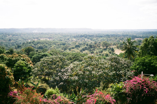 DOMINICAN REPUBLIC. enero. 2011.