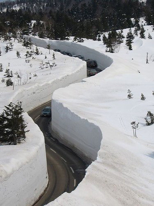 youngna:In Honshu, the Japanese Alps, where there’s 56 feet of snow.Can you imagine if this happened