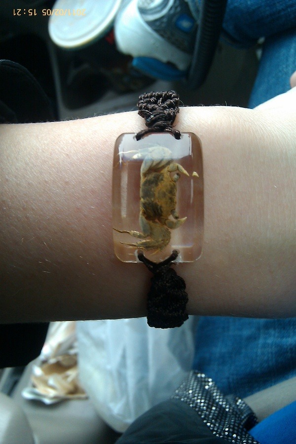 bowrll:  My new cutie bracelet!! I got it at the Quakertown Farmer’s Market.  A