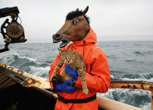 Corey Arnold Fish-Work: The Bering Sea