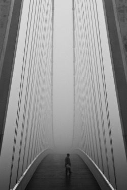 archiphile:  more bridges / bnw 