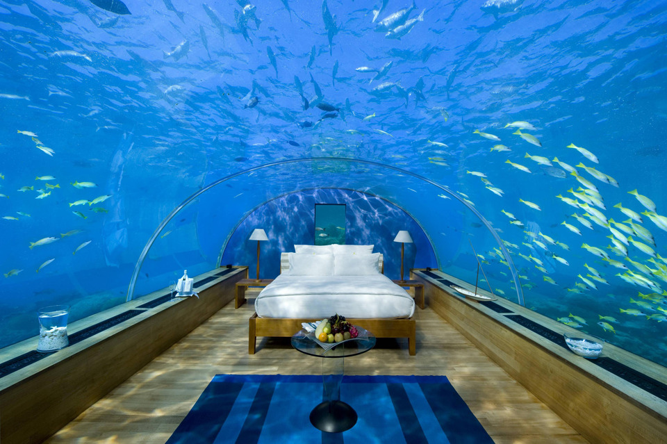 escaravelhoandarilho: Would you have wet dreams?
