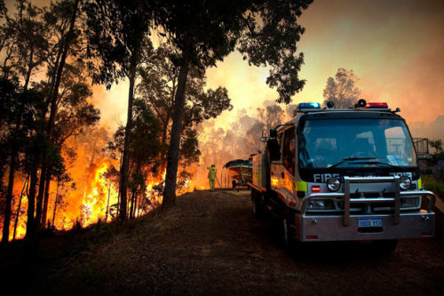 Firefighters work to extinguish a bushfire in Roleystone, near Perth. Bushfires are currently burnin