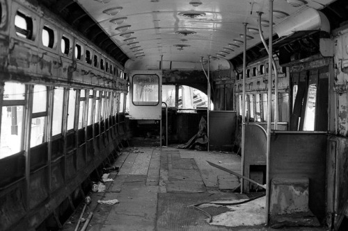 refugado:  nycshawnphotos:  Inside abandoned trolly in Red Hook, Brooklyn  Roll 30 of 2011 Shot with Nikon FM2n and Nikkor 50mm f1.4 Ai lens on Kodak Tri-X 400 film exposed and developed at box speed in Kodak TMax developer (1+4) for 6 minutes.  by Shawn