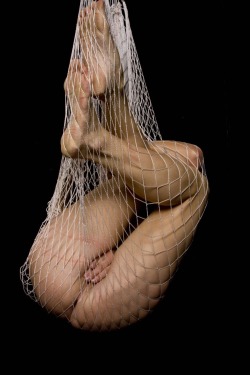 minxgrrl:  Strung up in some netting