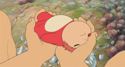 kadyxanne:  luthevegan:  <3  ponyooo 