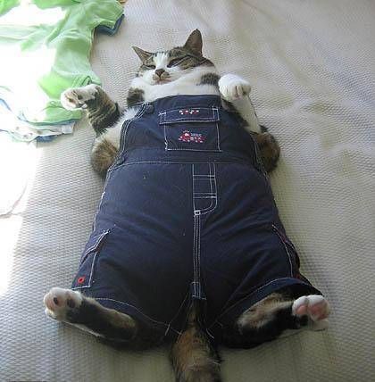 whobahstank:  nice and fat 