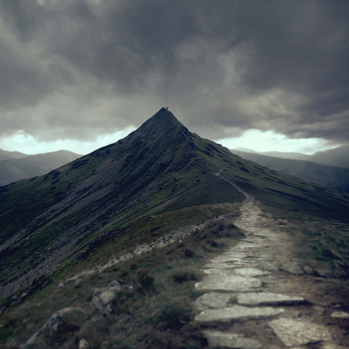 knipsolina:  the rainmaker by swinspeed 