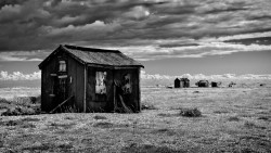 Ramshackle Shacks, Dungeness Nature Reserve