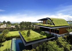 Roof Garden House  Designed by Guz Architects,