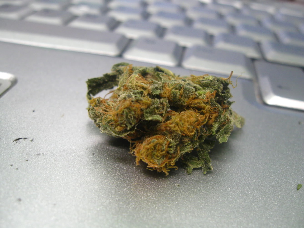 thatsgoodweed:  this is what that space on your laptop is for   That&rsquo;s