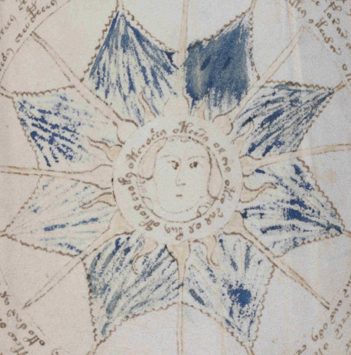 Voynich manuscript