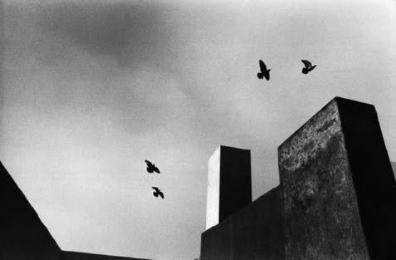 René Burri - Mexico, 1969
Thanks to regardintemporel