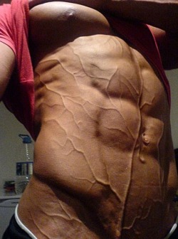 rochjock25:  holy vascular! 