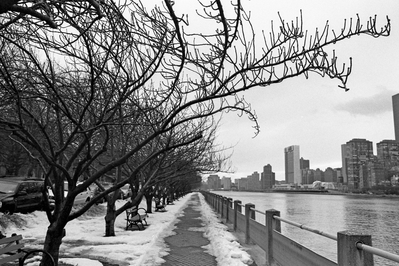 refugado:  nycshawnphotos:   Roosevelt Island, NYC This roughly two-mile long and
