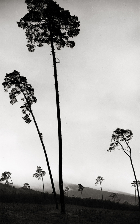 untitled photo by Robert Bothner, Italy 1950s