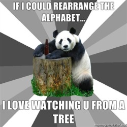 aowins:  Pickup line Panda http://memegenerator.net/Pickup-Line-Panda 