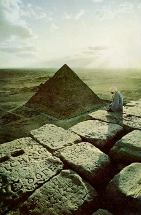 fabforgottennobility:  Chefren (from Cheope), Giza 