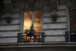 thatgirlinpearls:  warm window (by Alex Rupor) 