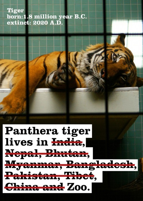 cage-isnt-an-emotion-dumpass:  tomigiru:  miusmius:  lightpriestess:  thealeafherbivore: