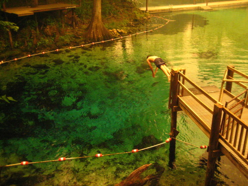 lemurmeansghost:  Solo Dive.  Stephen dives into Fanning Springs the summer of the fires / shot with my point and shoot digi / 2007 / sometimes you get lucky and no one’s around  Alright, it’s time for a mini Florida road trip before it gets