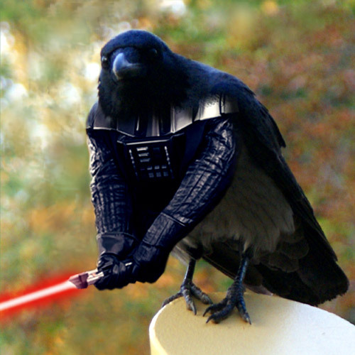 batting a thousand and still striking out.