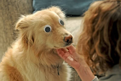demoralizer:  doggin’ out 