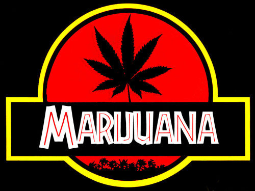 Things Stoners Like