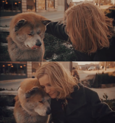  Quem nunca amou um animal, nunca aprendeu a amar. 