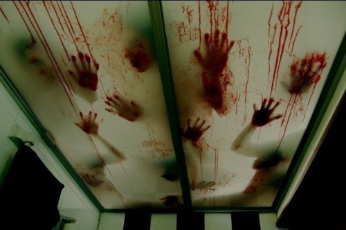 never say die