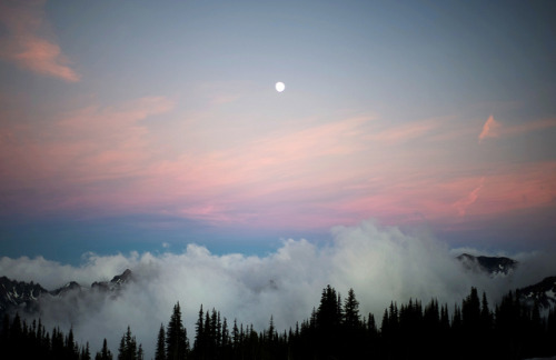 the morning star