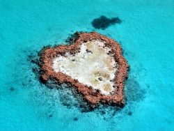 Such a nice pool. Heart island is part of the Great Barrier Reef.