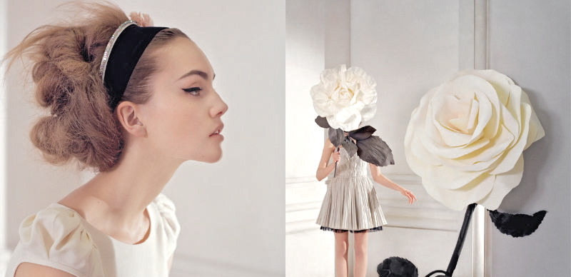 sealimbs:  Tim Walker 