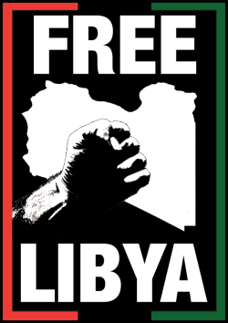  The protesters in Libya are being gunned
