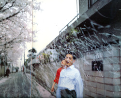 shihlun:  Nan Goldin, Honda Brothers in cherry blossom storm, Tokyo, 1994 